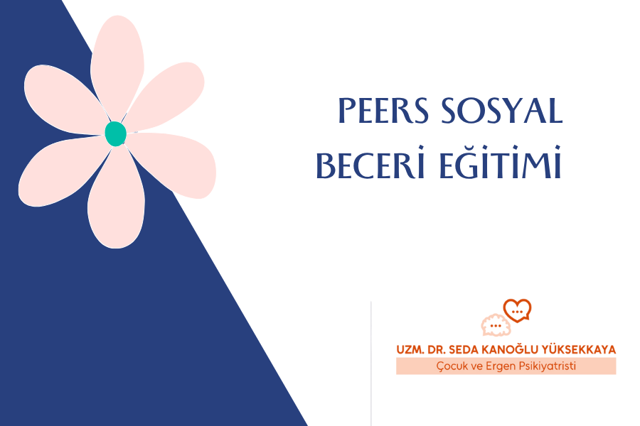 PEERS SOSYAL BECERİ EĞİTİMİ
